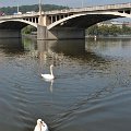 Prague - au bord de la Vltava Moldau 003